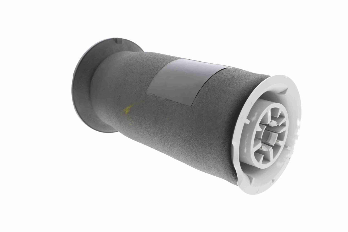 Air Suspension Strut - V20-50-0023