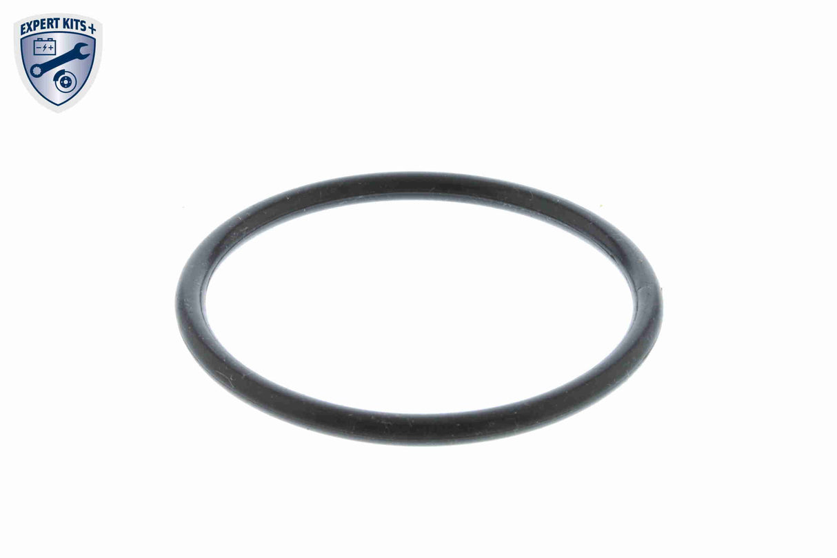 Thermostat Housing - V15-99-1905