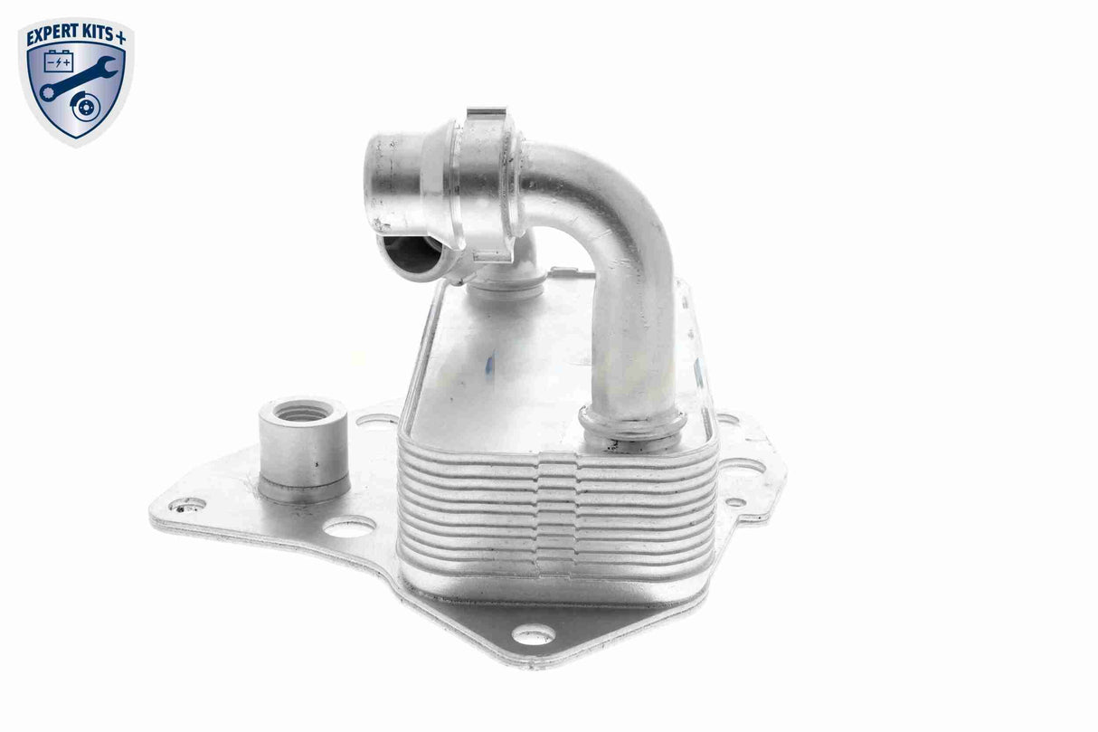 Oil Cooler, engine oil - V24-60-0051