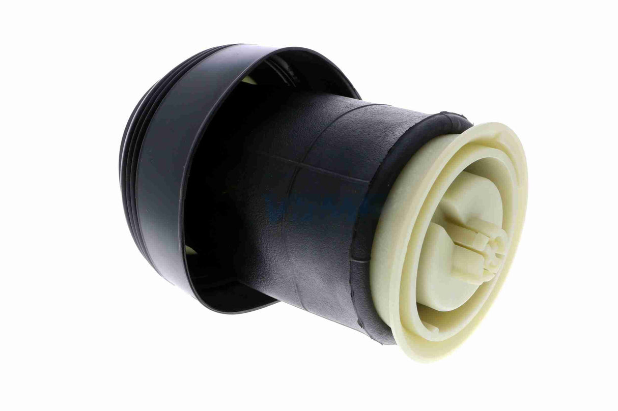 Air Suspension Strut - V20-50-0010-1