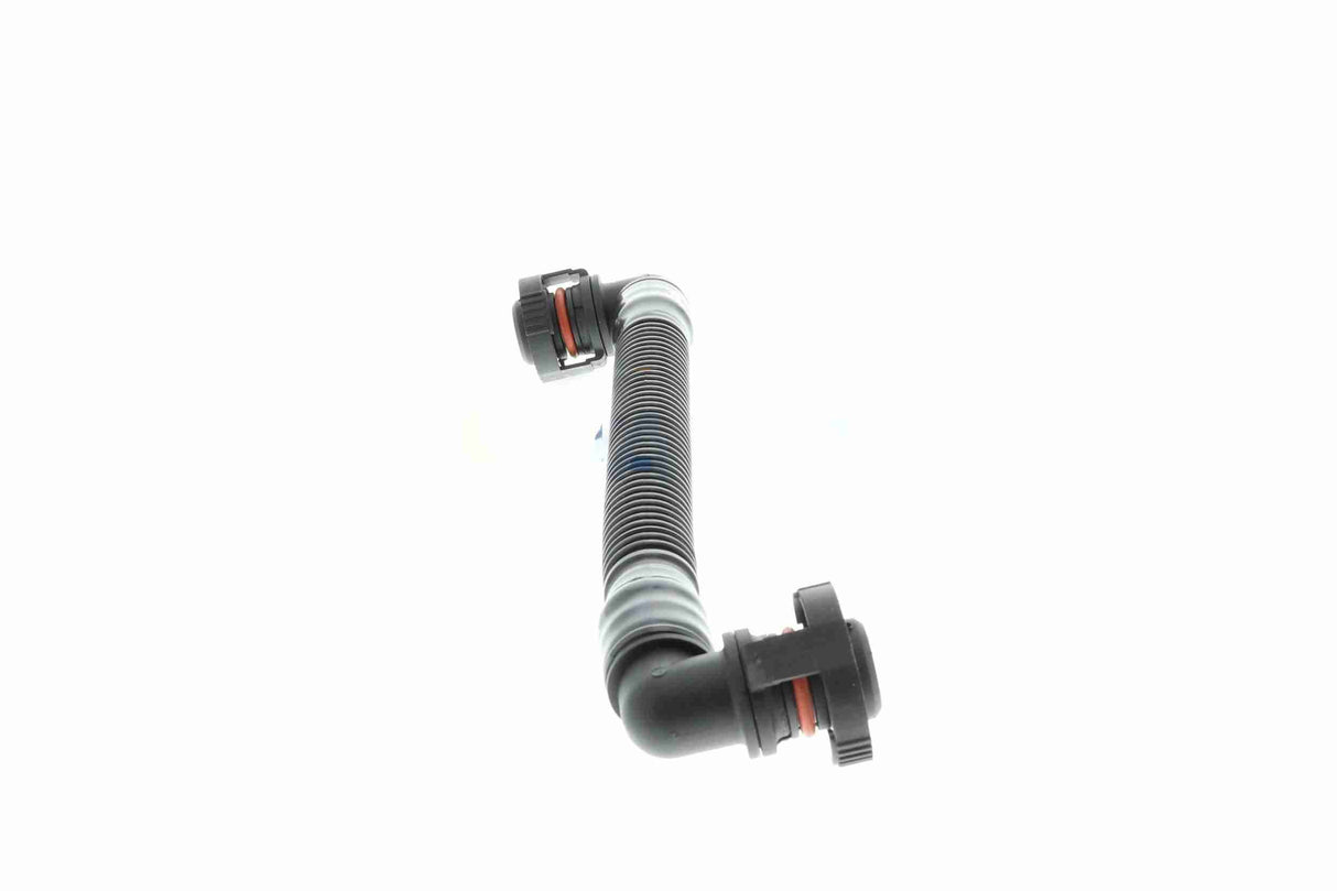 Hose, crankcase ventilation - V20-3579
