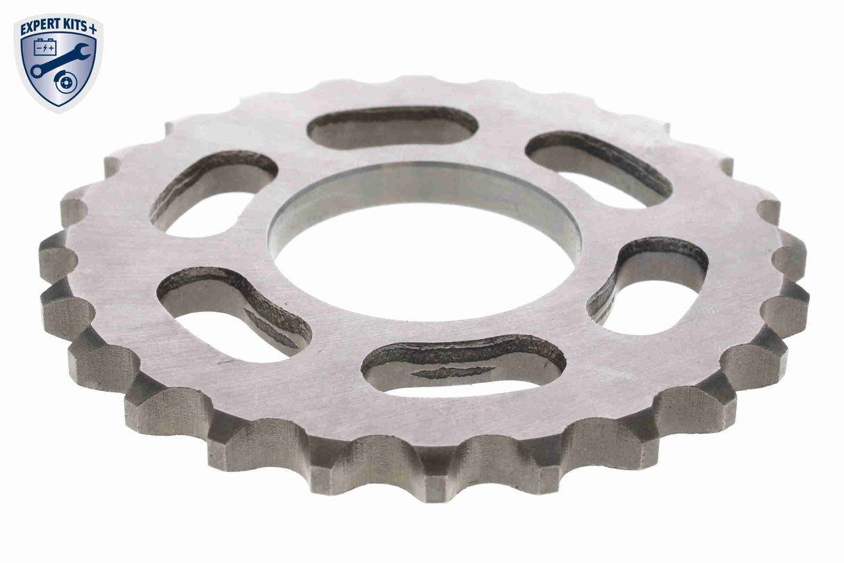 Timing Chain Kit - V10-10019