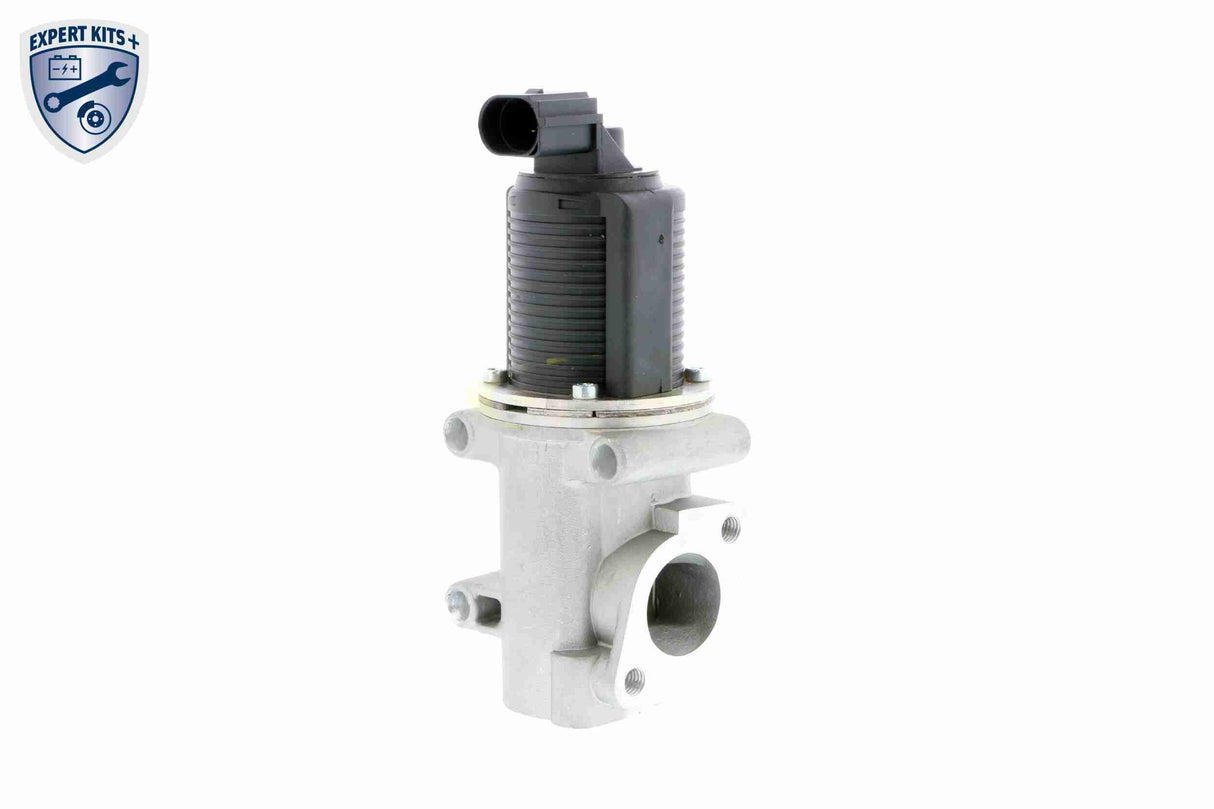 Valve, exhaust gas recirculation - V24-63-0002
