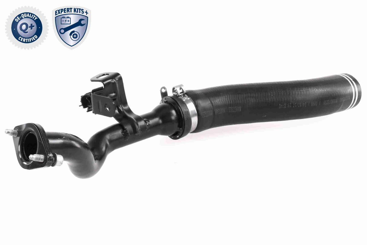 Charge Air Hose - V24-0722