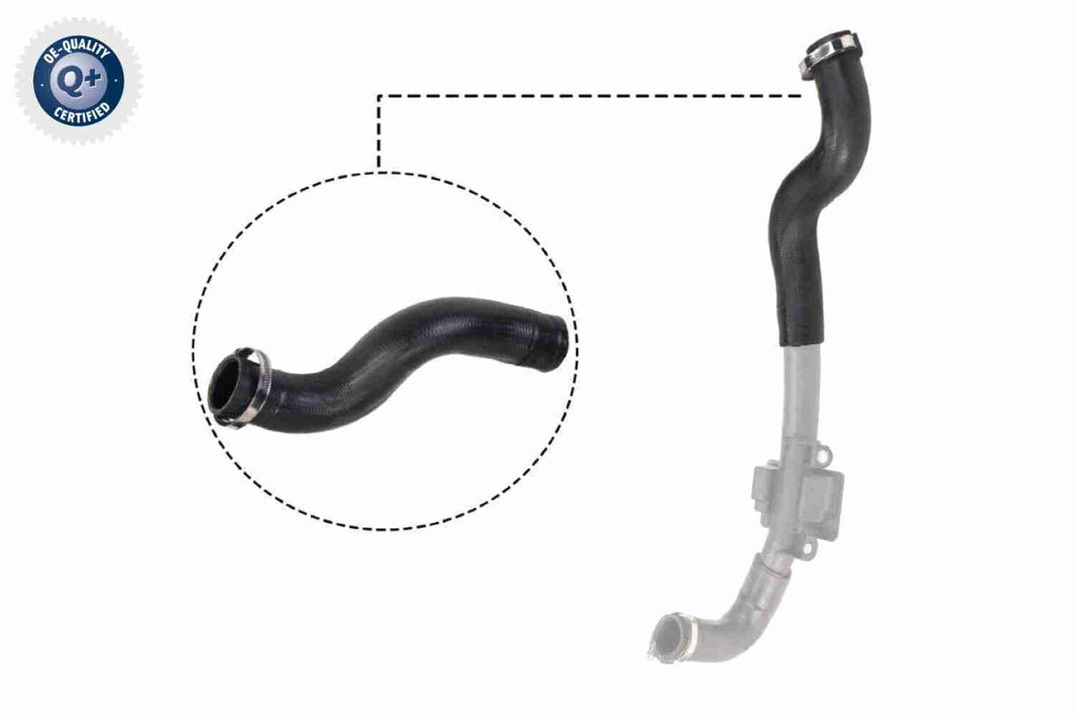 Charge Air Hose - V46-0830