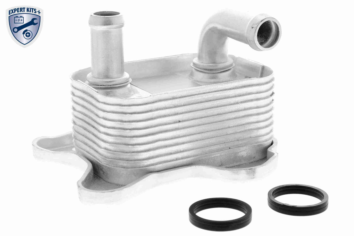 Oil Cooler, engine oil - V40-60-2106