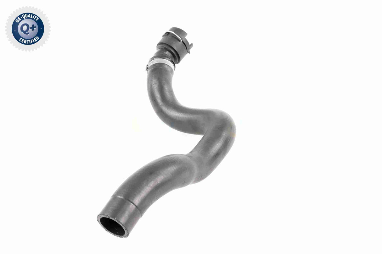 Radiator Hose - V25-1503