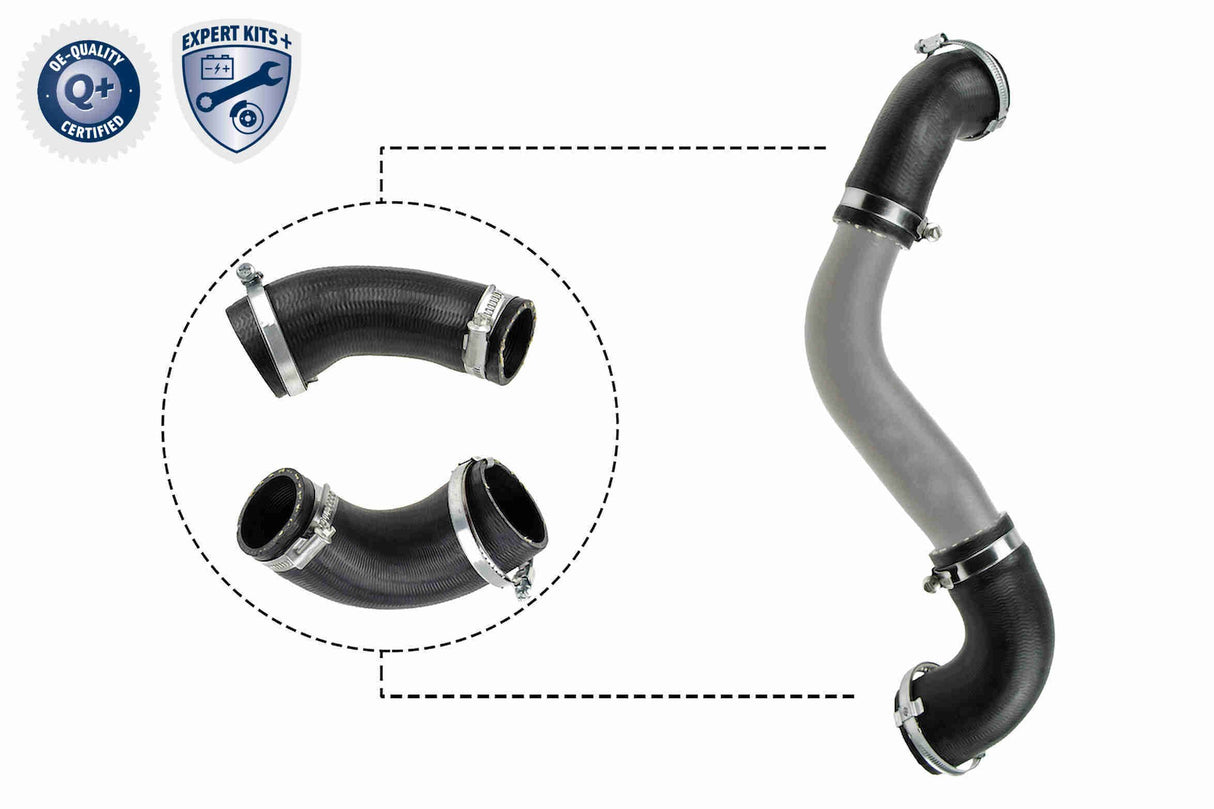 Charge Air Hose - V25-1921