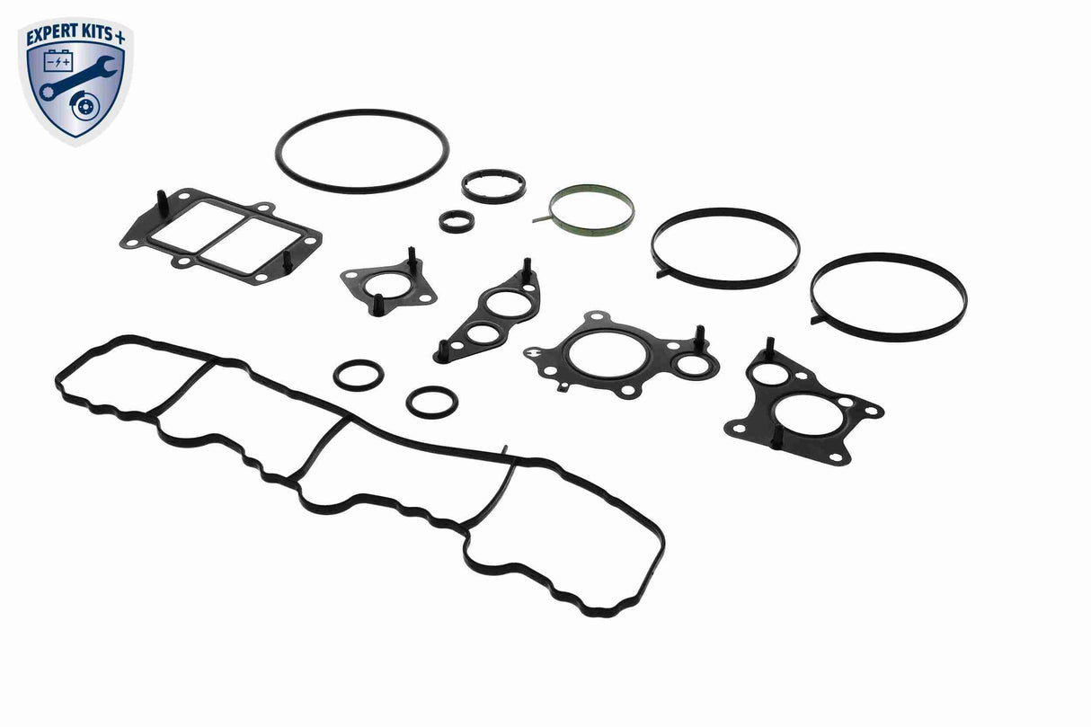 Gasket Set, oil cooler - V30-60-91315
