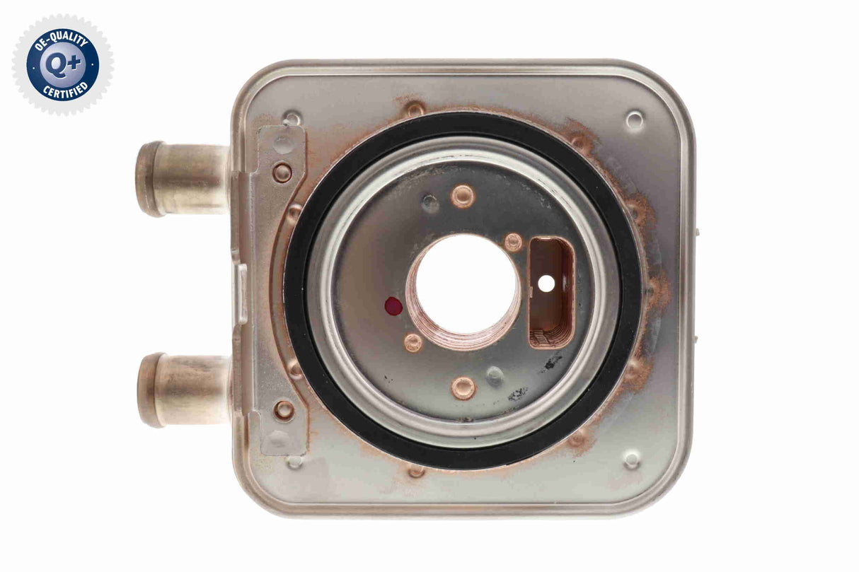 Oil Cooler, engine oil - V40-60-0020