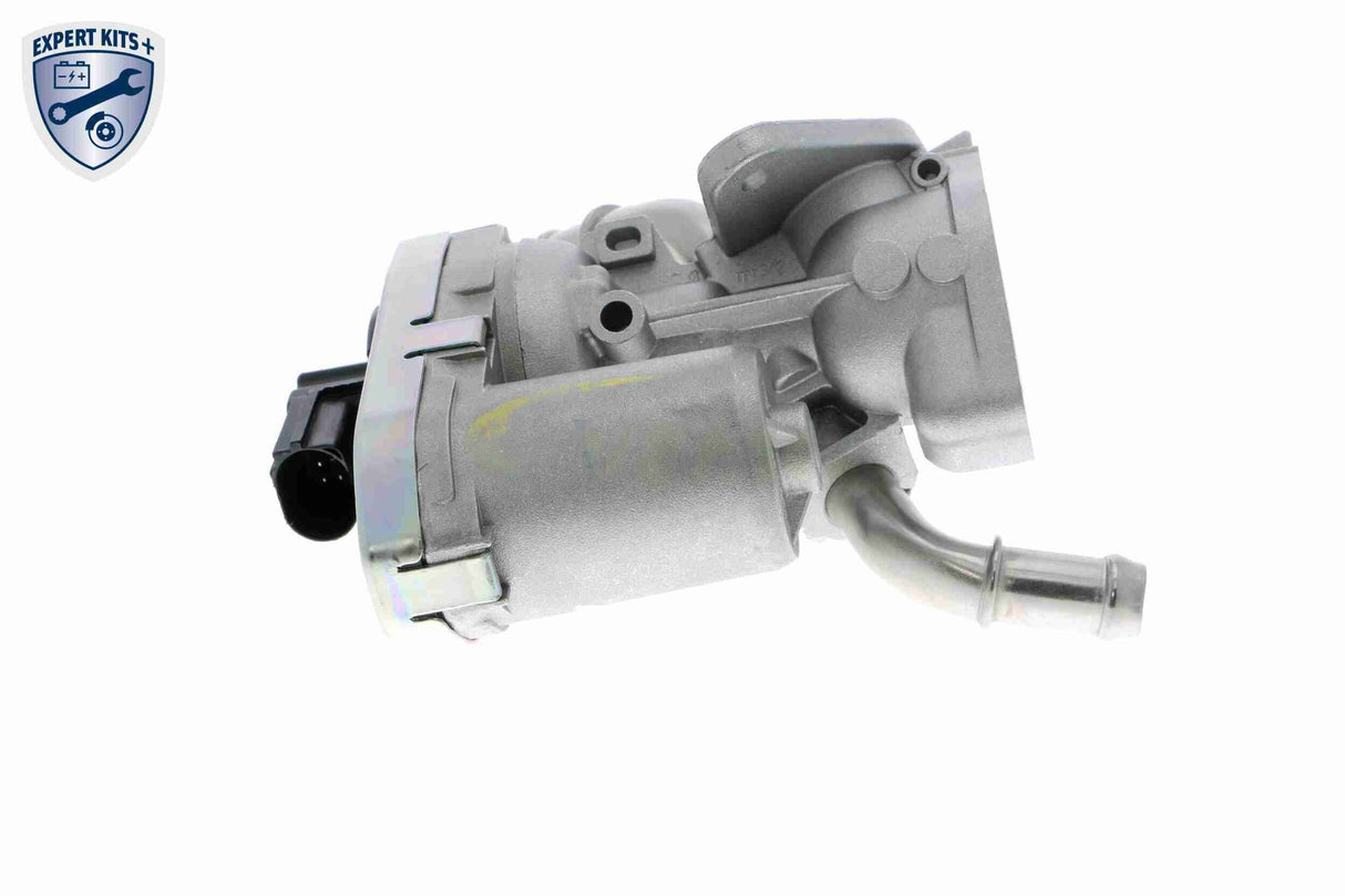 Valve, exhaust gas recirculation - V25-63-0016