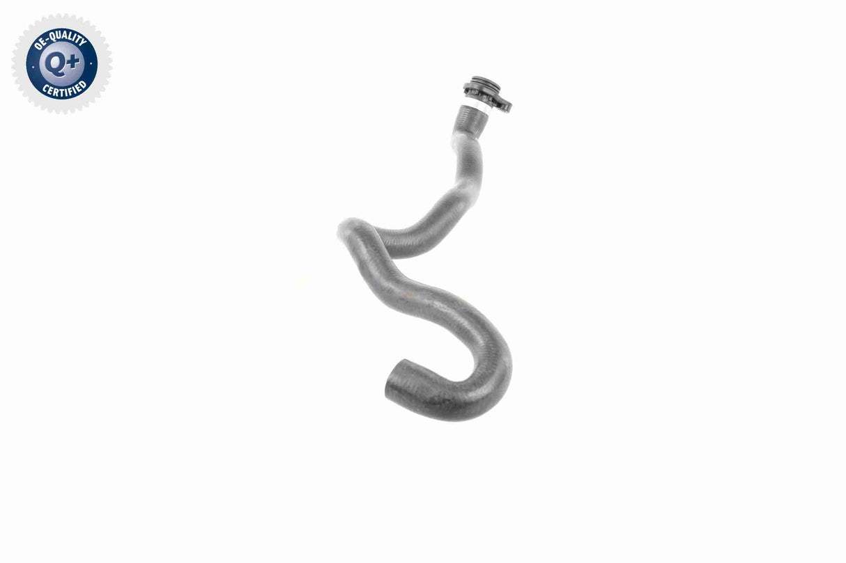 Radiator Hose - V20-2892