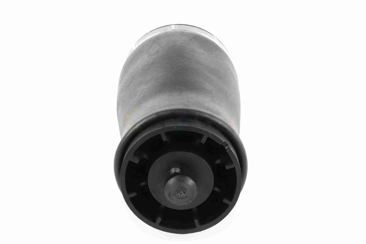 Air Suspension Strut - V20-50-0003-1