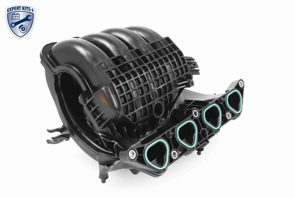 Intake Manifold Module - V10-5427