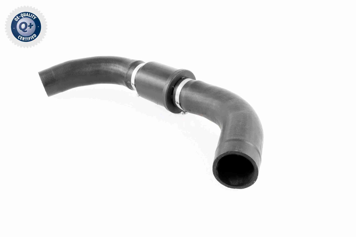Radiator Hose - V25-1126