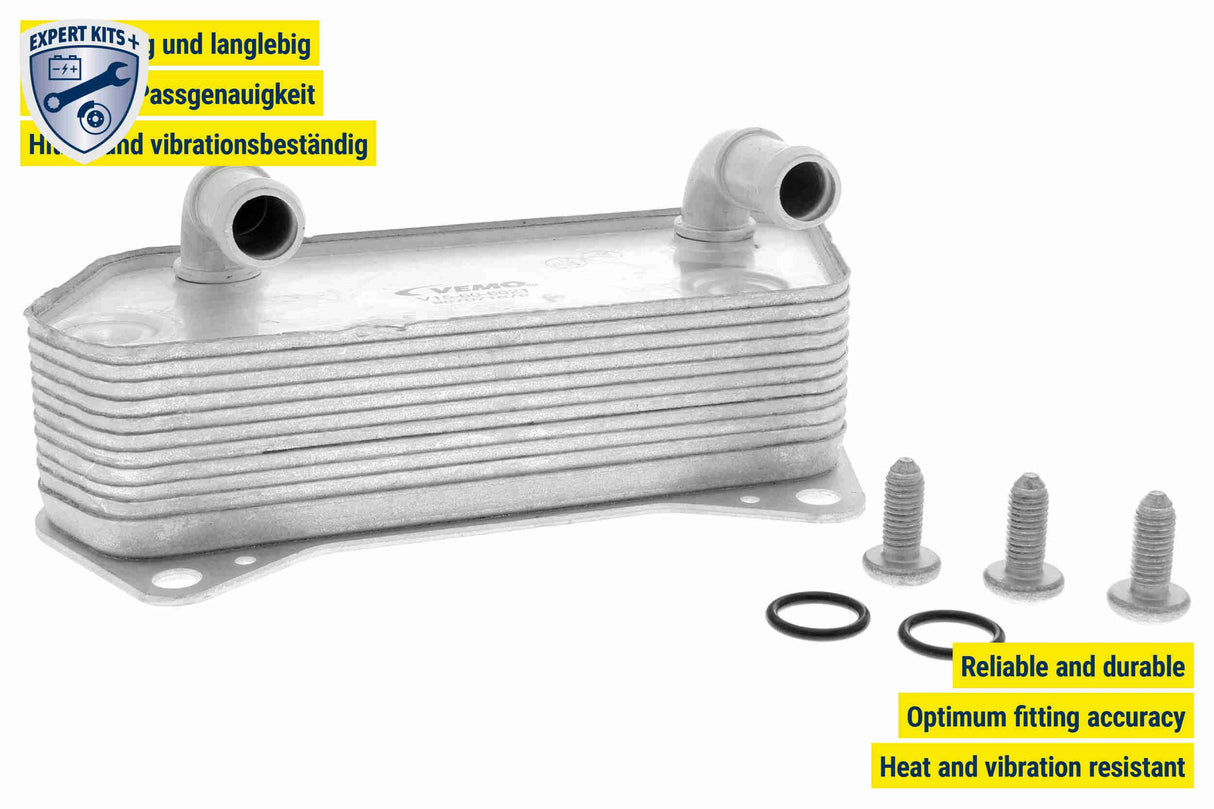 Oil Cooler, engine oil - V15-60-6081
