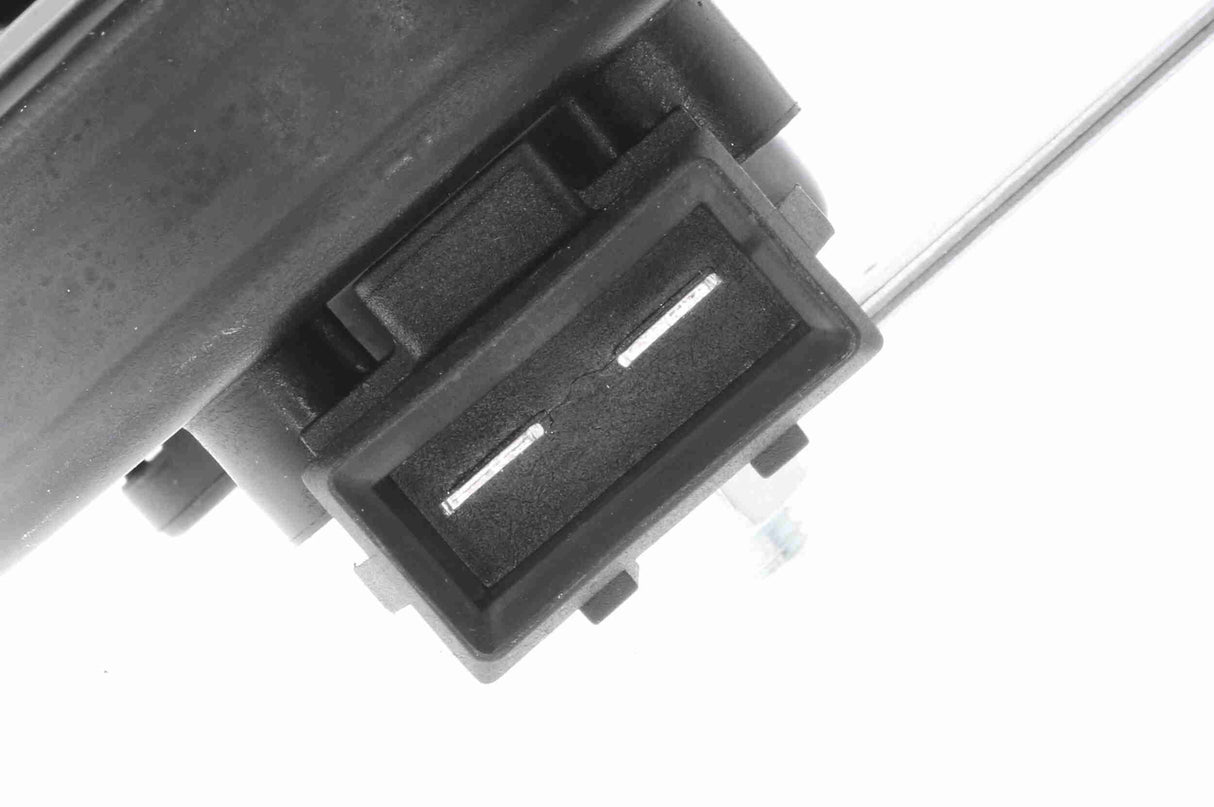 Signal Horn - V10-77-0912
