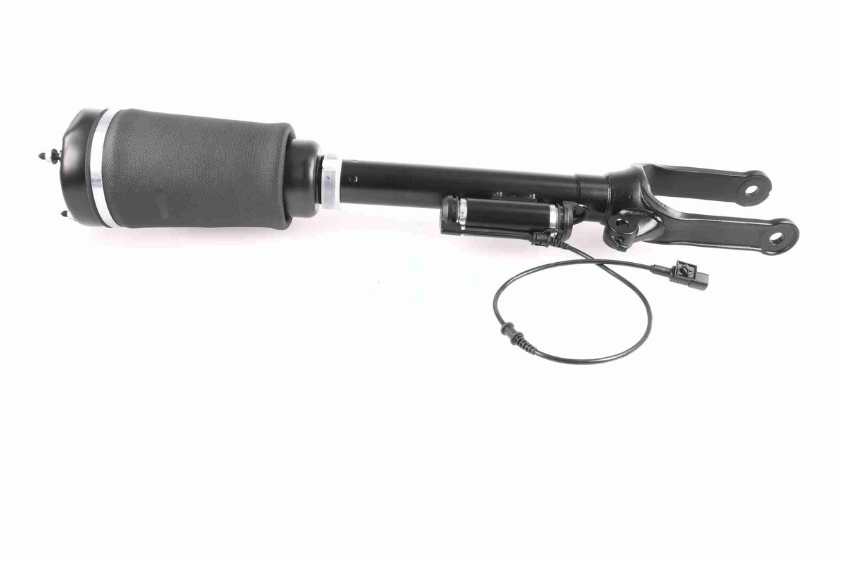Air Suspension Strut - V30-50-0019-1