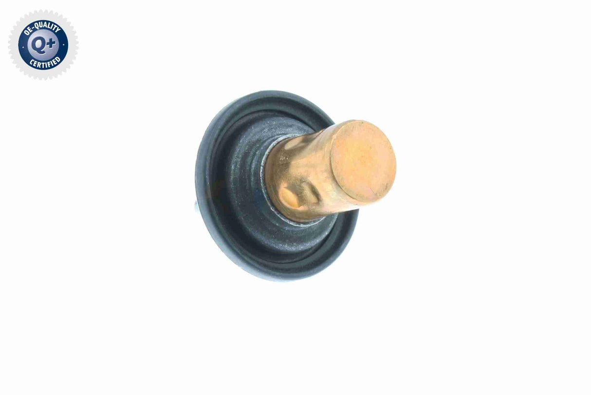 Thermostat, coolant - V30-99-0199