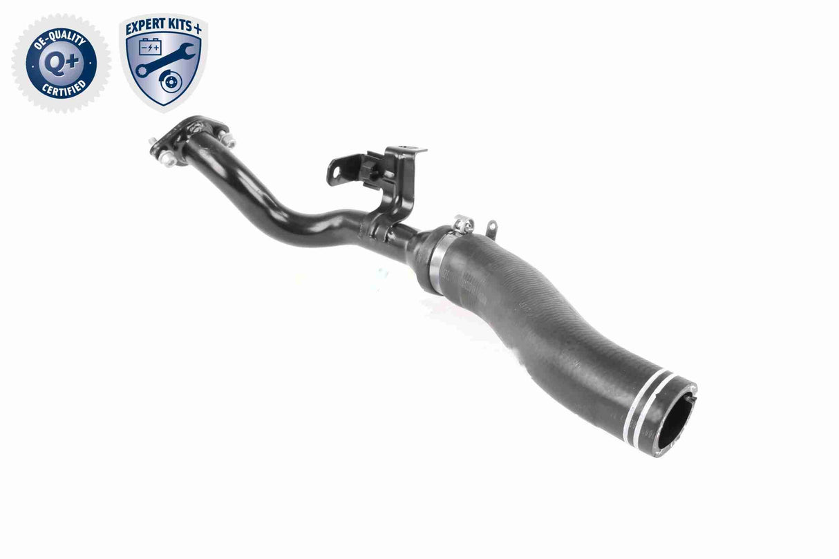 Charge Air Hose - V24-0722