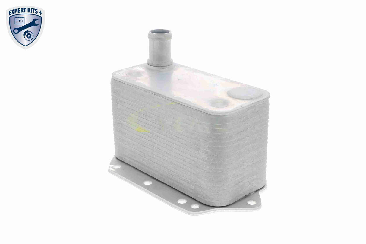 Oil Cooler, engine oil - V20-60-0042