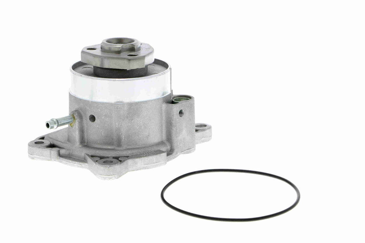 Water Pump, engine cooling - V10-50081