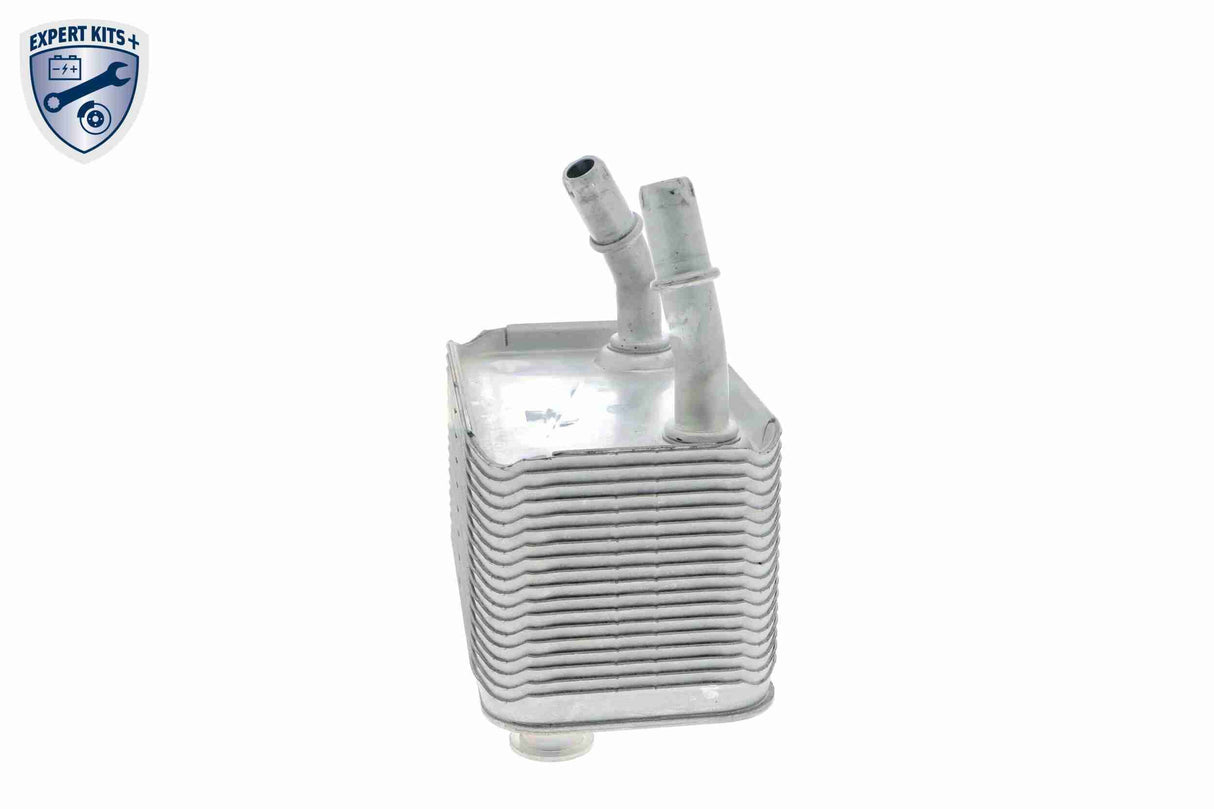 Oil Cooler, automatic transmission - V20-60-0003