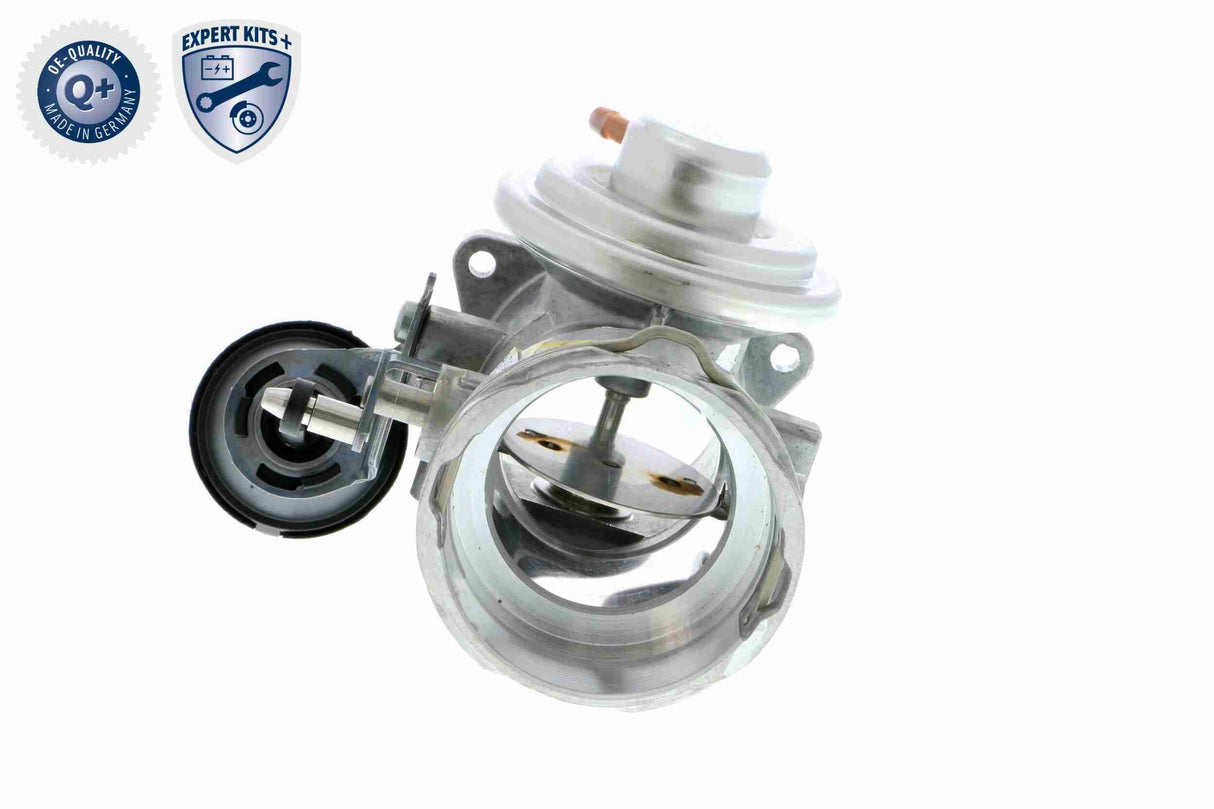 Valve, exhaust gas recirculation - V10-63-0024