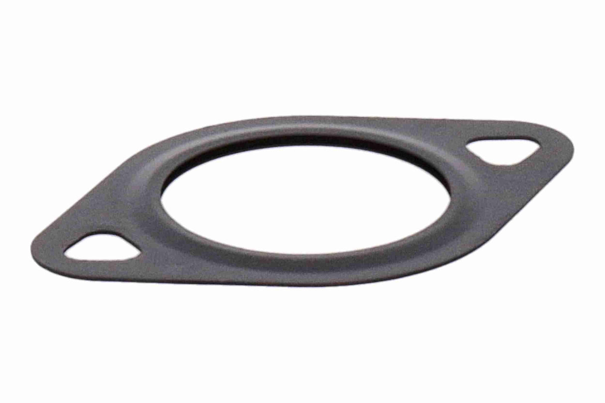 Gasket, EGR valve - V10-99-0007