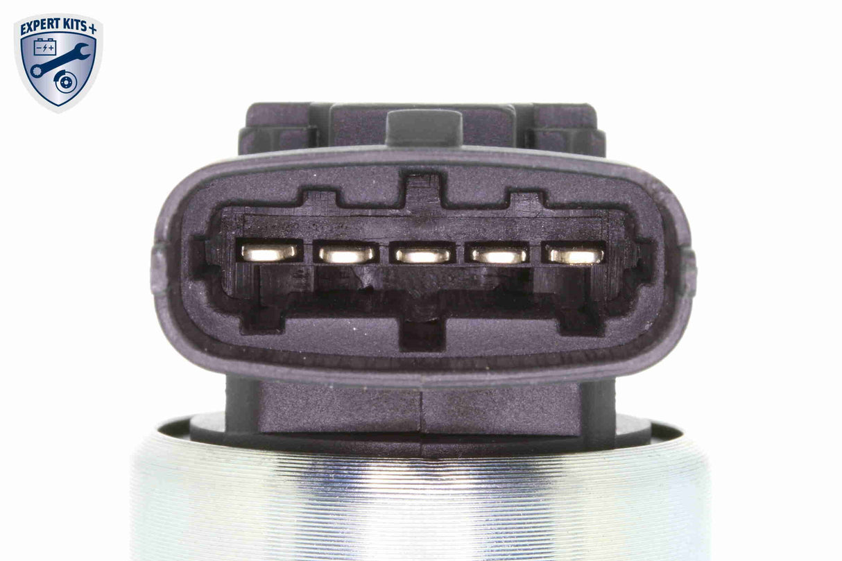 Valve, exhaust gas recirculation - V40-63-0021