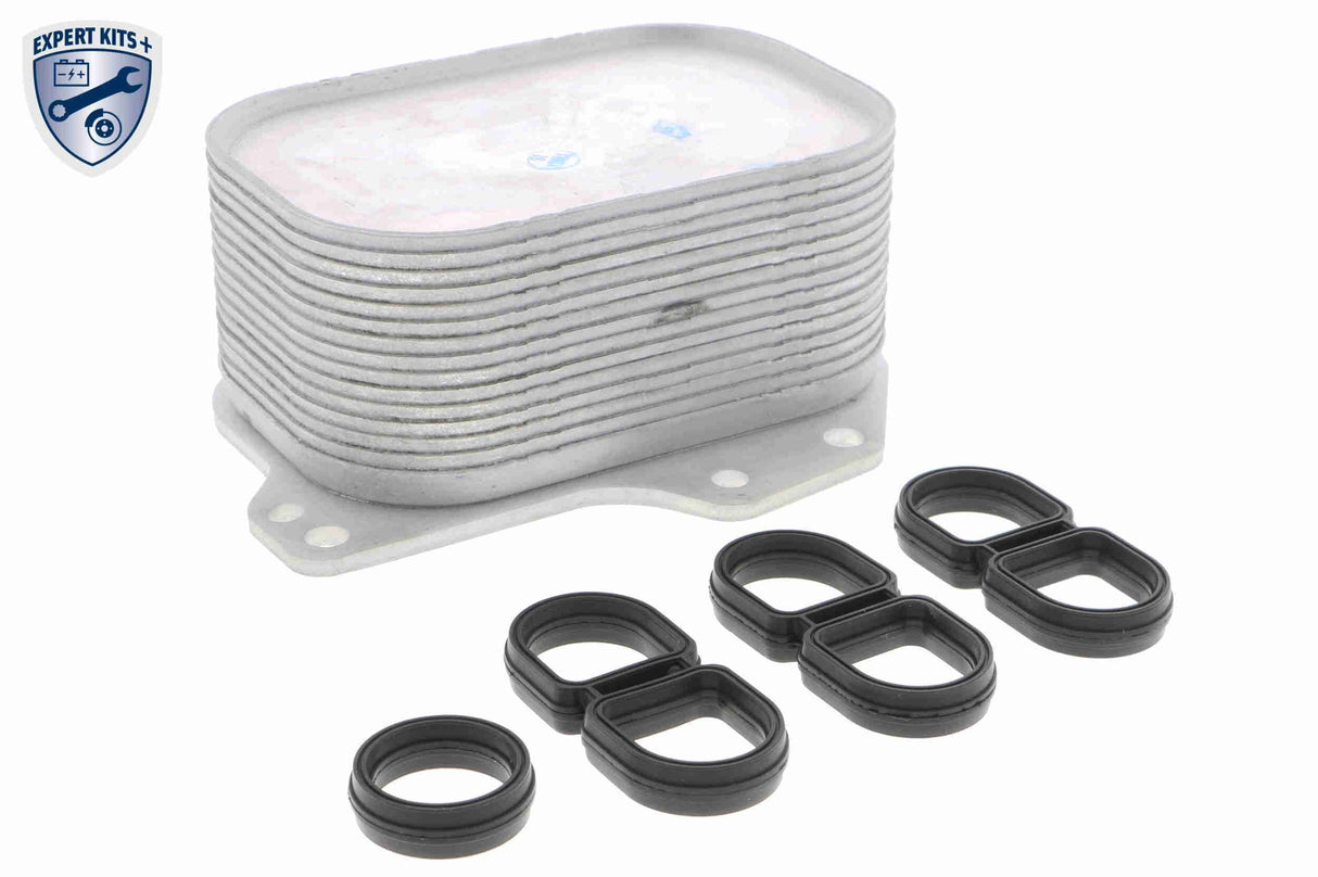 Oil Cooler, engine oil - V15-60-6063