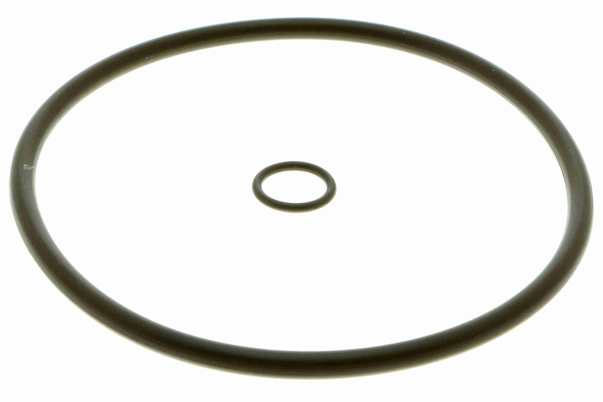 Fuel Filter - V40-1384