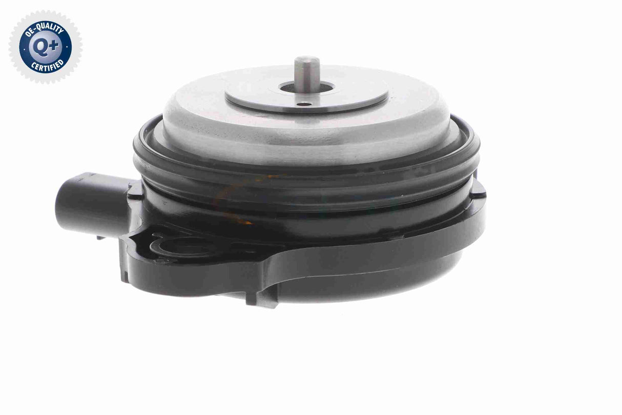Central Magnet, camshaft adjustment - V20-3666
