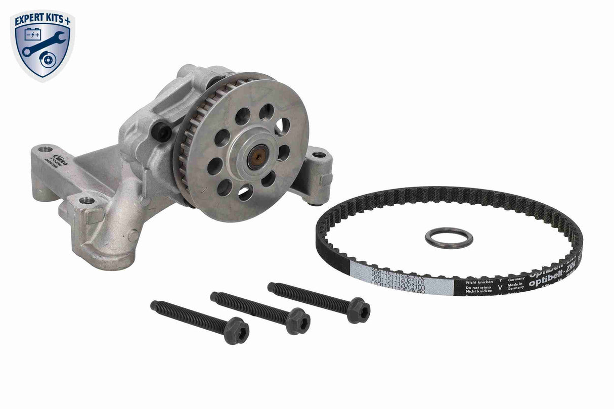 Oil Pump - V10-8967