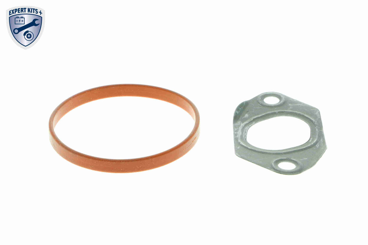Valve, exhaust gas recirculation - V30-63-0013