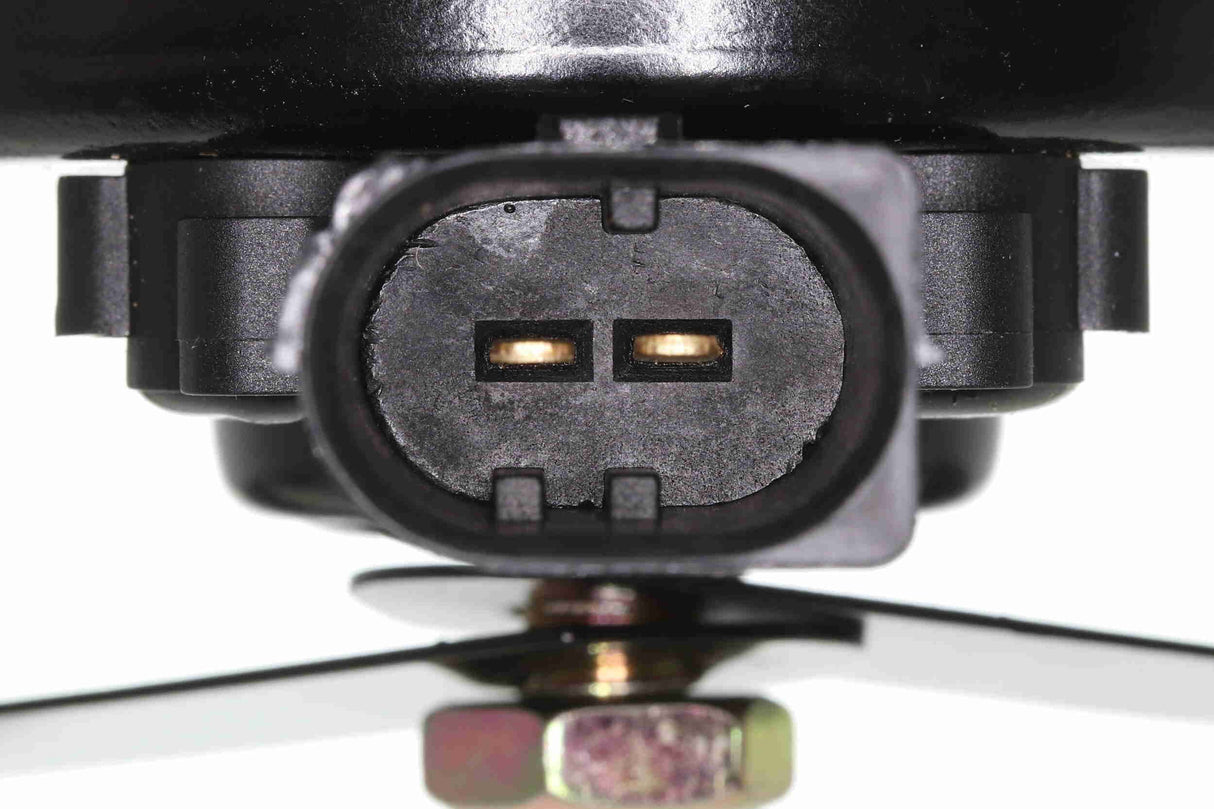 Signal Horn - V10-77-0927