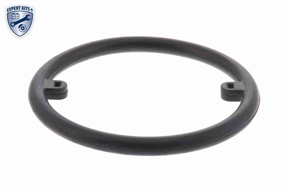 Oil Cooler, engine oil - V15-60-6010