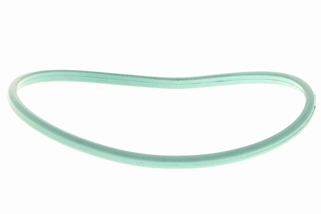 Seal, fuel sender unit - V24-09-0053