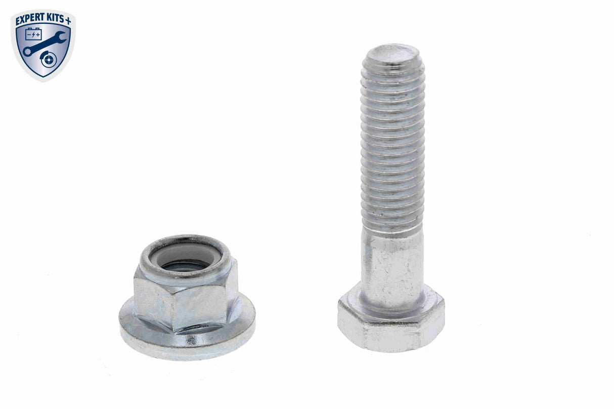 Shock Absorber - V25-0364