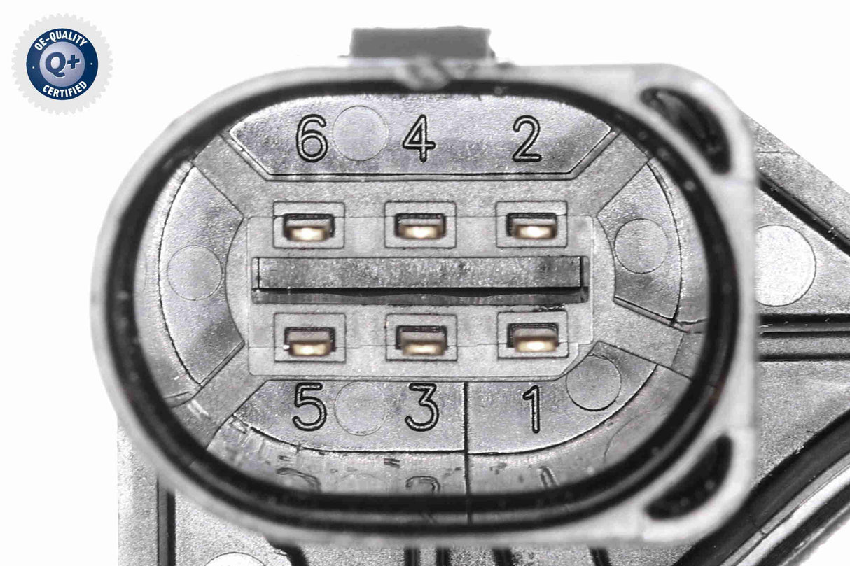 Throttle Body - V10-81-0099