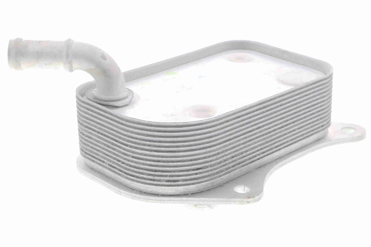 Oil Cooler, engine oil - V15-60-6071