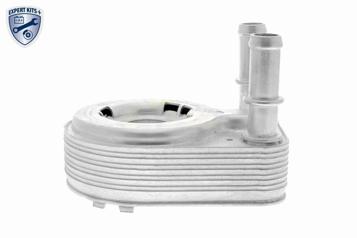 Oil Cooler, engine oil - V24-60-0021