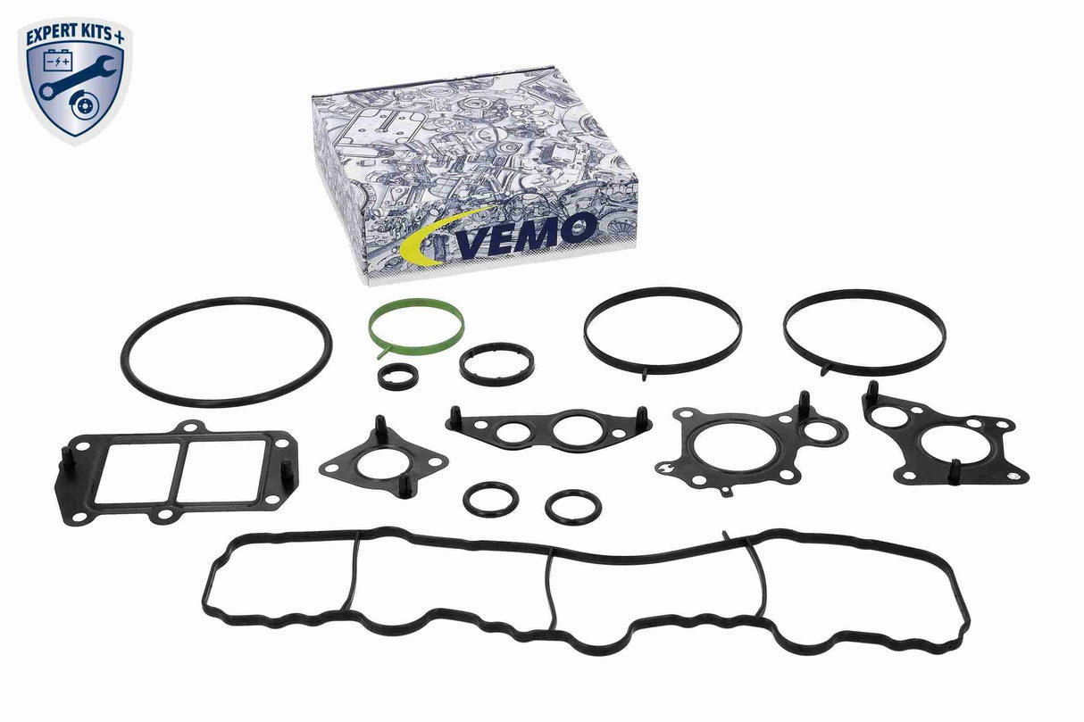 Gasket Set, oil cooler - V30-60-91315