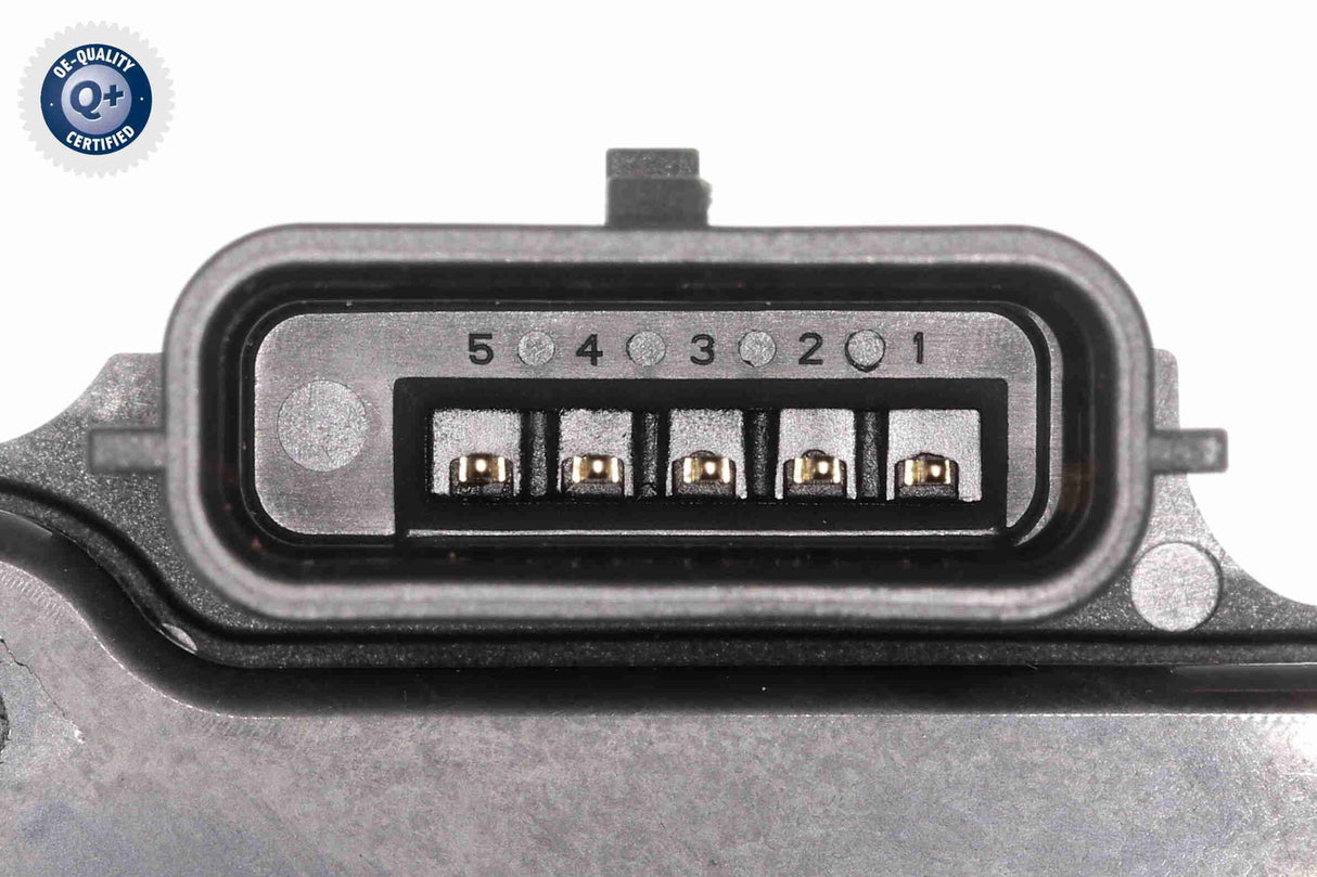 Throttle Body - V40-81-0033