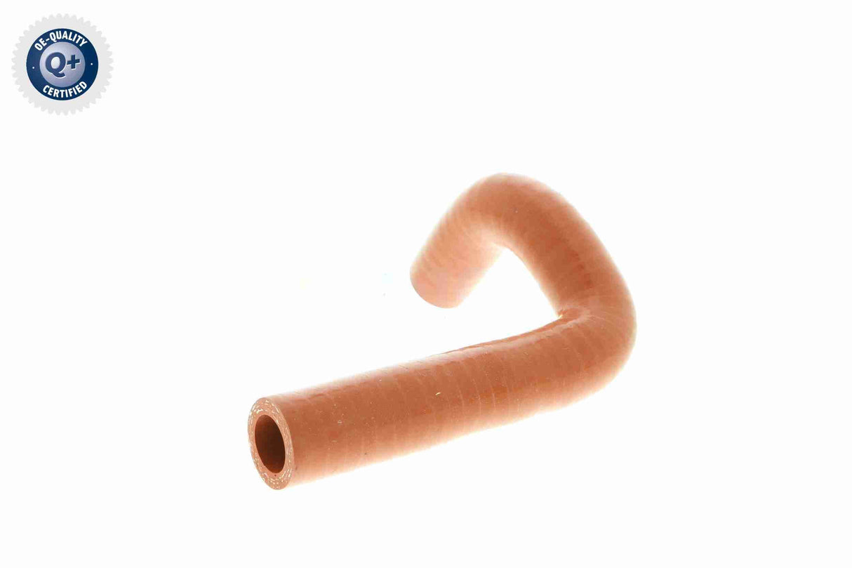 Charge Air Hose - V24-0736