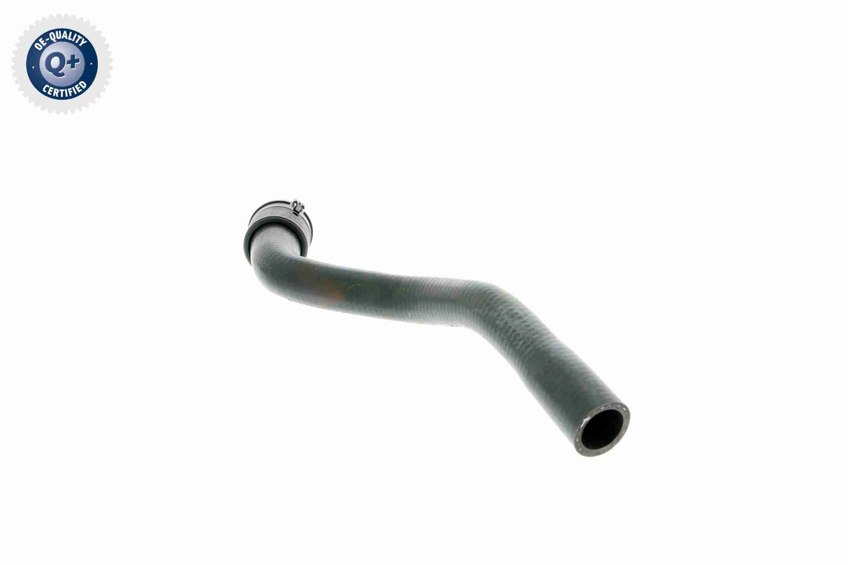 Radiator Hose - V40-1353