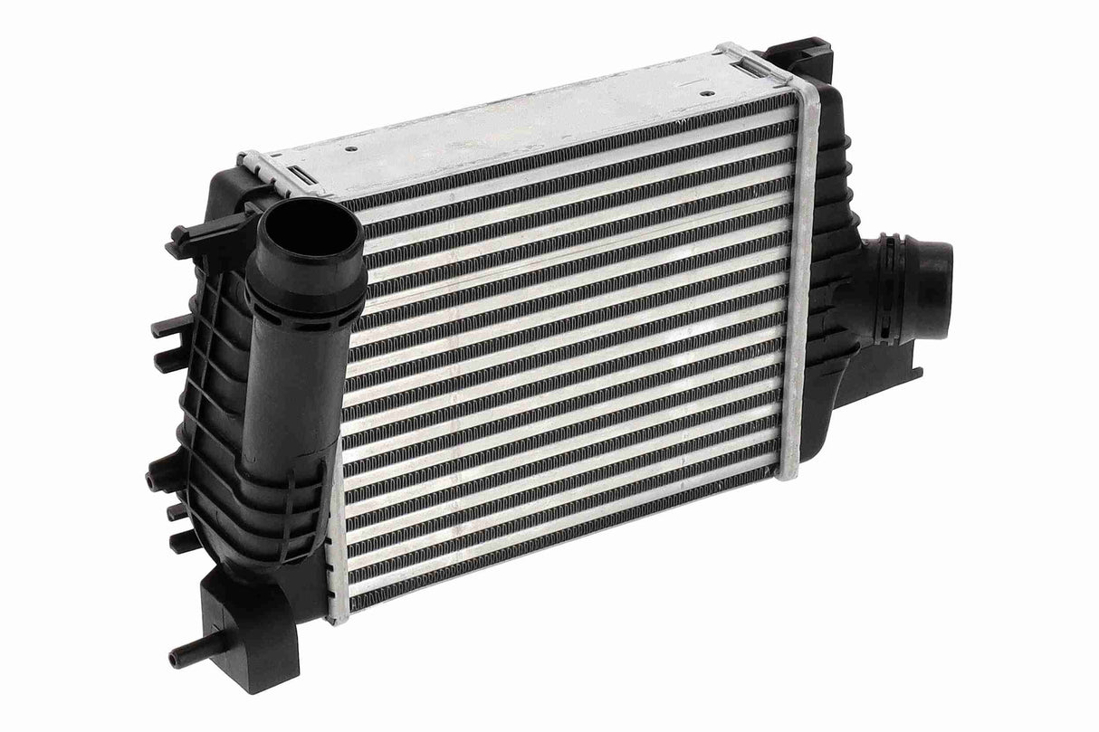Charge Air Cooler - V21-60-0005