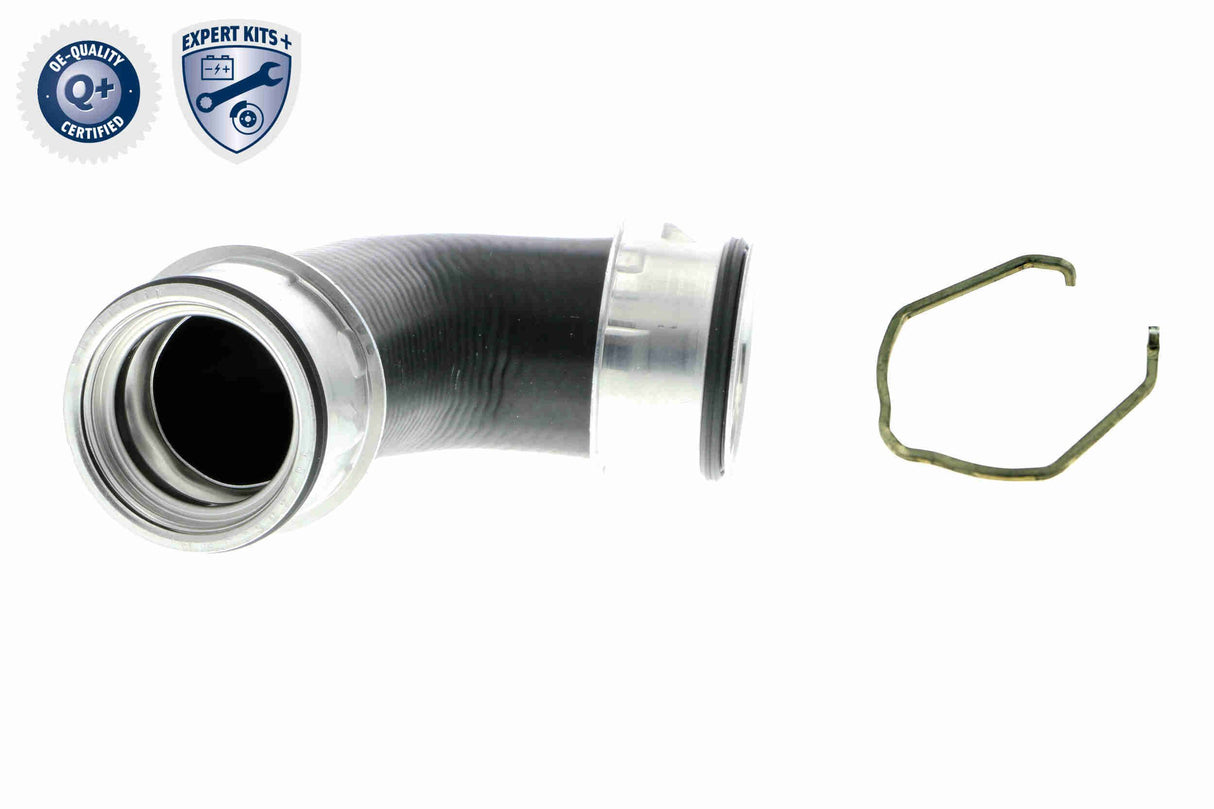 Charge Air Hose - V10-5306