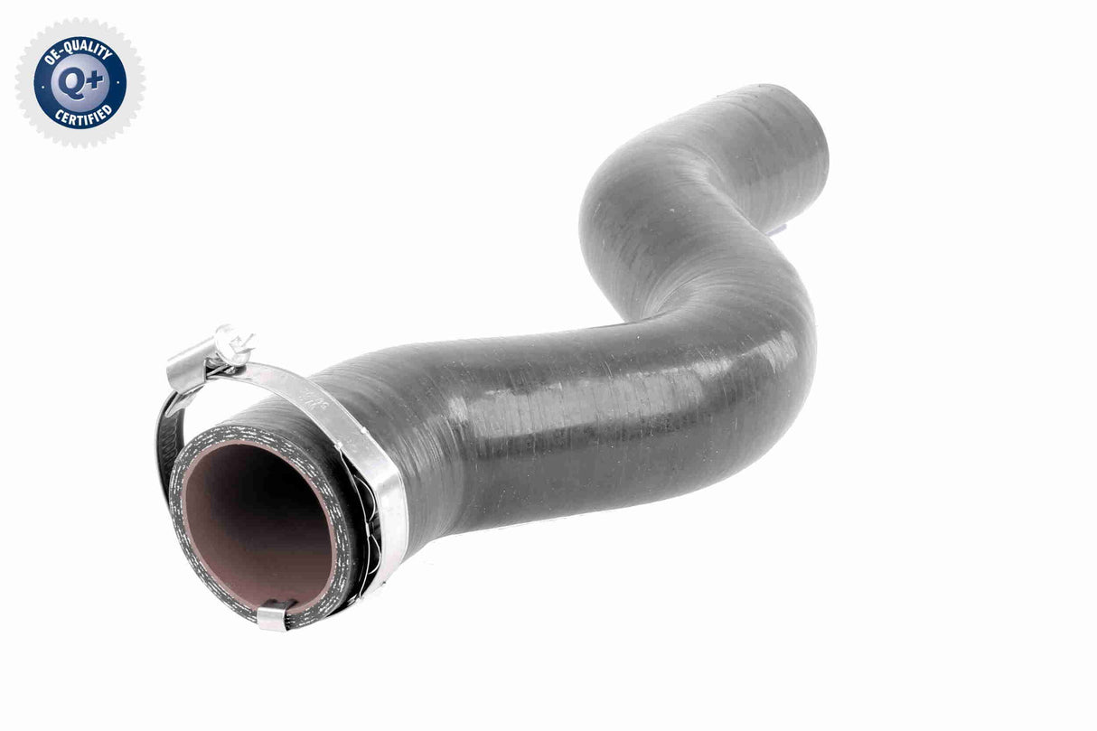 Charge Air Hose - V46-1034