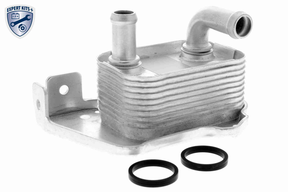 Oil Cooler, engine oil - V40-60-2110
